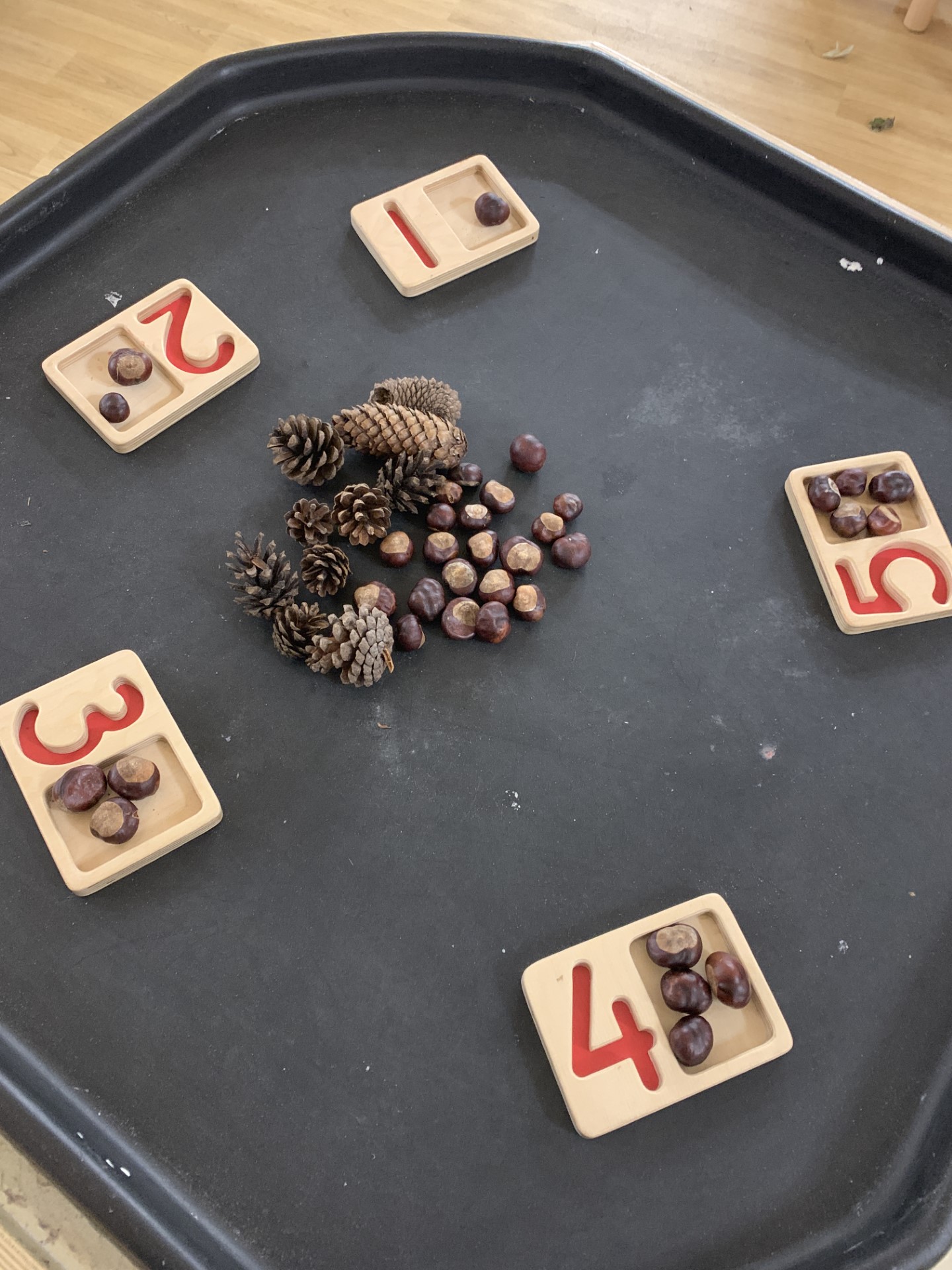CONKERS AND NUMBERS | Worth Valley Primary School